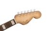Limited Edition California Vintage Palomino Antigua