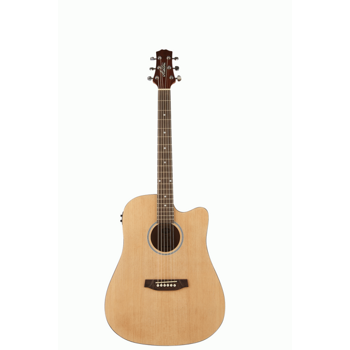 ASHTON D20CEQNTM DREADNOUGHT CUTAWAY AND EQ
