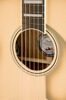 Limited Edition California Vintage Palomino Antigua