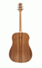 Гитара ASHTON D26EQ ACACIA DREADNOUGHT EQ GUITAR